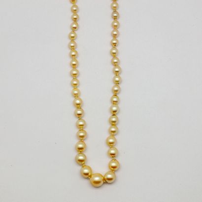  Collier de perles de culture, fermoir en argent 
Poids brut : 13 g.