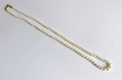 Collier de perles de culture en chute. Fermoir en or 
L.: 55 cm