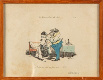 null After Granville, engraved by Langlumé, 

"Madame is out my little pussy ......