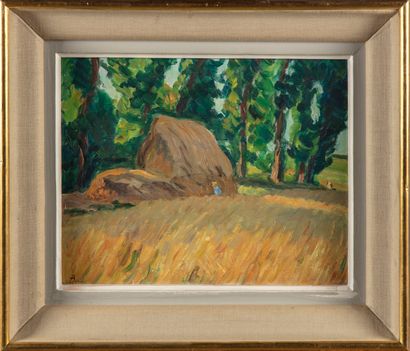 null Léonard BORDES (1898-1969)

Paysage aux meules de foins

Huile sur carton, signée...