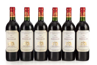 null "12 bouteilles Château Breillan 1993 Haut-Médoc

(N. tlb, E. f)"