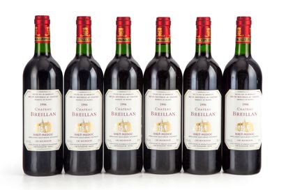 null "12 bouteilles Château Breillan 1996 Haut-Médoc

(N. tlb)"