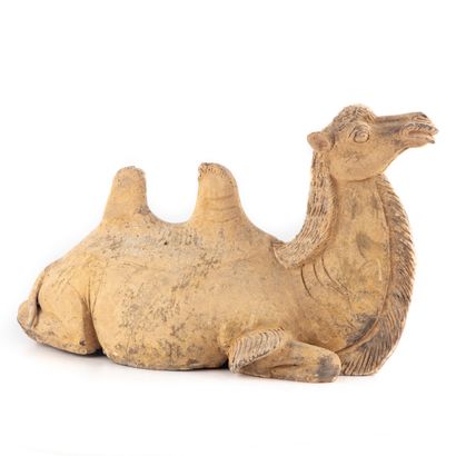 CHINE TANG CHINA - TANG period (618-907)
Statuette of a reclining camel in terracotta,...