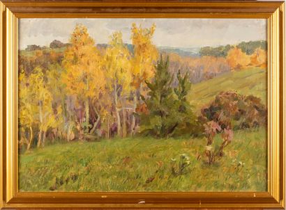 null 20th century french school 

Landscape

Oil on canvas 

42 x 61 cm