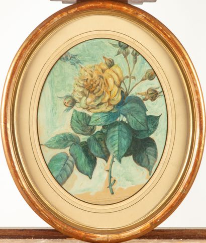 null 20th century french school 

Rose 

Pencil and watercolor 

26 x 21 cm at s...