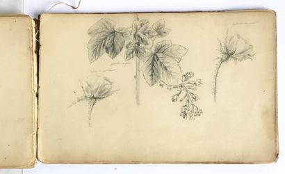 null ECOLE FRANCAISE du DEBUT du XXe
Carnet de dessins : études de fleurs et paysages.
17...