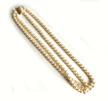 null Necklace of two rows of cultured pearls shoker. Gold clasp
