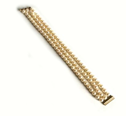 null Bracelet with three rows of small cultured pearls. Gold clasp