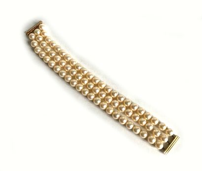 null Bracelet with three rows of cultured pearls shoker. Gold clasp