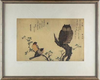 null After UTAMARO
Owl and two red - throat, 
Print on paper signed and stamped
22...