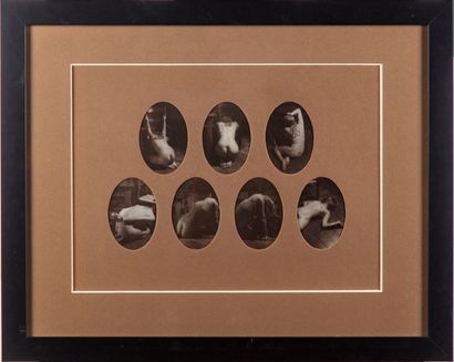 null Gérard MOROT-SIR (1931-2003)
Series of seven female nudes
Photograph, stamped...