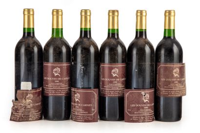 null "6 bouteilles Douves de Carnet 1990 (Château La Tour Carnet) Haut-Médoc
(N....