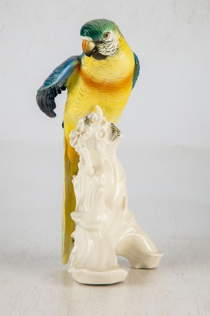 MANUFACTURE KARL ENS Manufacture KARL ENS - SAXE 
Ara parrot, exotic bird with a...