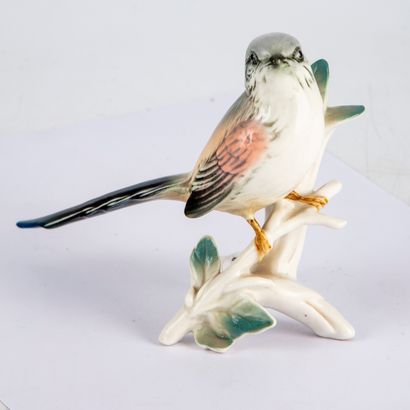 MANUFACTURE KARL ENS Manufacture KARL ENS - SAXE 
Exotic bird in a row
Polychrome...