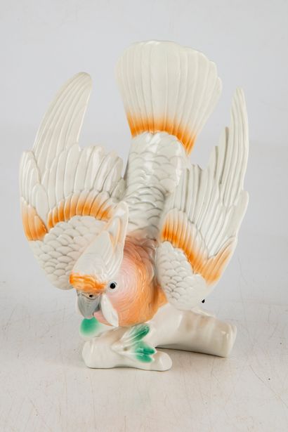 MANUFACTURE KARL ENS Manufacture KARL ENS - SAXONY 
Leadbeater's cockatoo, a trendy...