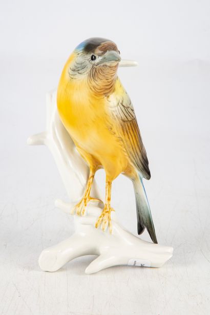 MANUFACTURE KARL ENS Manufacture KARL ENS - SAXE 
Exotic bird in a row
Porcelain...