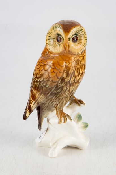 MANUFACTURE KARL ENS Manufacture KARL ENS - SAXE 
Tawny owl, a trendy bird
Polychrome...