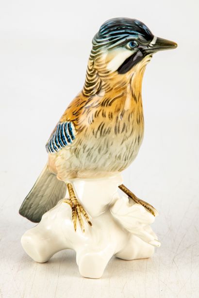 MANUFACTURE KARL ENS Manufacture KARL ENS - SAXE 
Oak jay, bird with a branch
Polychrome...