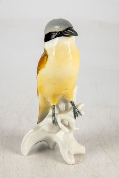 MANUFACTURE KARL ENS Manufacture KARL ENS - SAXE 
Shrike, a bird with a branch
Porcelain...