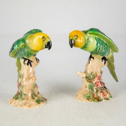 Manufacture John BESWICK - Angleterre 
Perroquets
Paire...