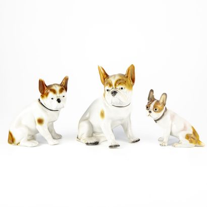 null ALLEMAGNE
Ensemble de trois bulldogs (bouledogues) français assis, en porcelaine...