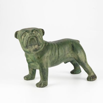 null Bulldog (bouledogue) en bronze à patine verte 
H.: 15 cm ; L. : 19,5 cm