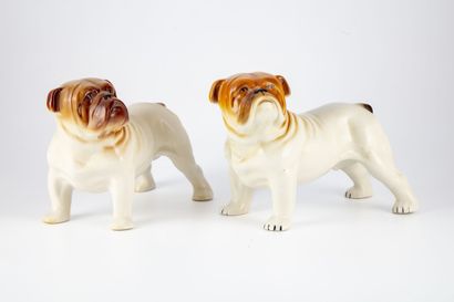 null Manufacture MELBA & WARE 
Paire de bulldogs (bouledogues) en porcelaine émaillée...