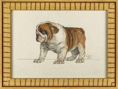 null ECOLE FRANCAISE DU XXIe 
Bulldog (Bouledogue) Anglais 
Suite de quatre aquarelles,...