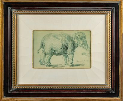 null D'après REMBRANDT
Eléphant
Reproduction encadrée
19 x 29 cm (vues)