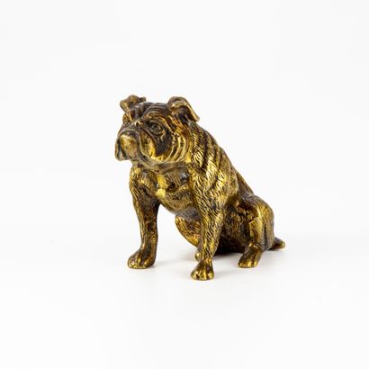 null Bulldog (bouledogue) anglais assis, en bronze doré
H. : 7,5 cm