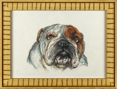 null ECOLE FRANCAISE DU XXIe 
Bulldog (Bouledogue) Anglais 
Suite de quatre aquarelles,...