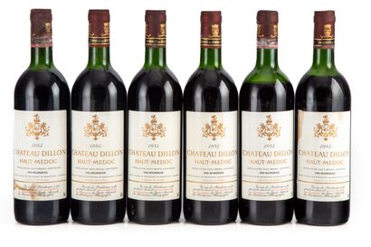 null "12 bouteilles Château Dillon 1985 Haut-Médoc
(N. 5 tlb, 4 lb, 2 he, 1 b, E....