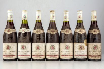 null 7 bouteilles: 5 Mercurey 1er Cru 1988 Les Vellées Domaine Maurice Protheau et...