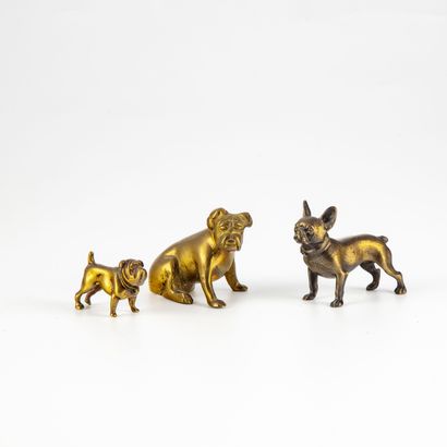 null Ensemble de trois Bulldogs (bouledogues) en bronze
H. : 5 à 2 cm