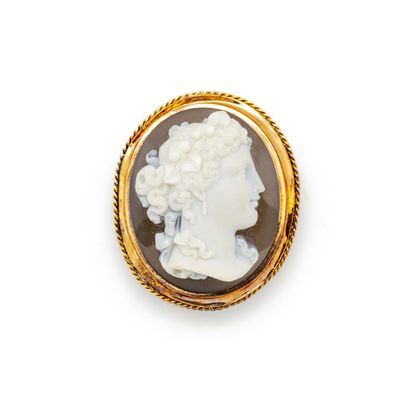 null Antique-style cameo brooch of a woman's profile on hard stone in a gold setting
Gross...