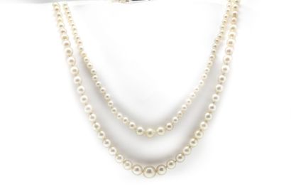 null Two-row necklace with 155 pearls including 81 round-shaped pearls, from 2.6...