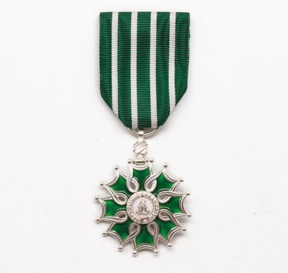 Médaille de l'ordre des Arts et des lettres...