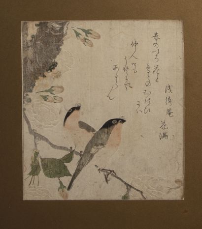 null Utagawa Toyohiro (1773 -1828)
- Surimono, shikishiban, jeune femme lisant un...