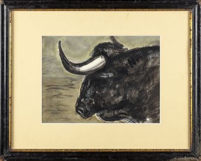null José Luis REY VILA (1900-1983)
Taureau de tauromachie 
Dessin 
16 x 21 cm