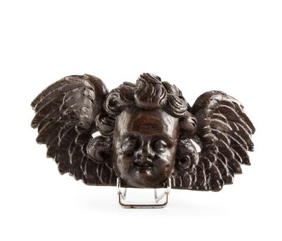 null Petite tête d'angelot en bois sculpté
H. : 9 cm ; L. : 21 cm