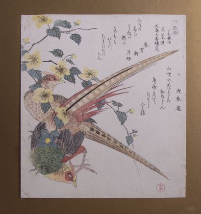 null Kubo Shunman (1757 -1820)

- Surimono,shikishiban, de la série Yamagawa Shimotsuke...