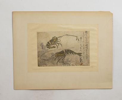 null Katsushika Hokusai (1760 - 1849)
- page d'album, crevettes et algues. Signé...