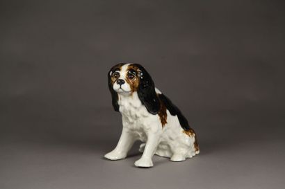 null ANGLETERRE Chien King Charles assis. H. : 27 cm