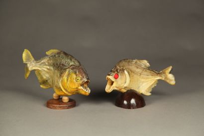 Deux poissons carnassiers