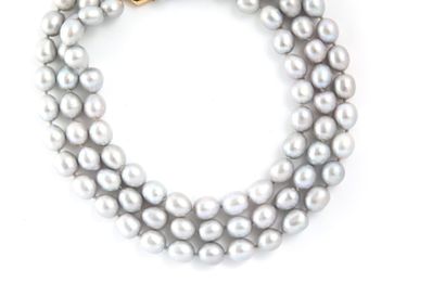 null Important collier de perles grises monté sur 3 rangs, fermoir en métal.