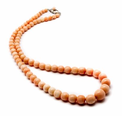 null Collier corail peau d'ange.