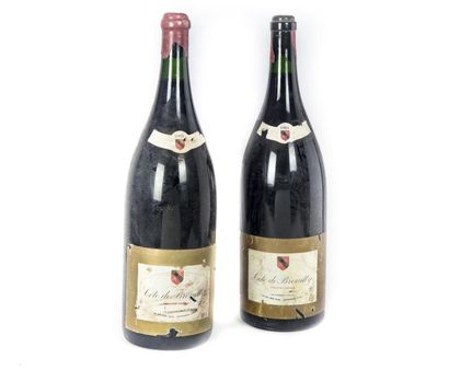 Côtes de Brouilly 2 Jeroboams Côtes de Brouilly (eta et Capsules abimées) 1984 et...