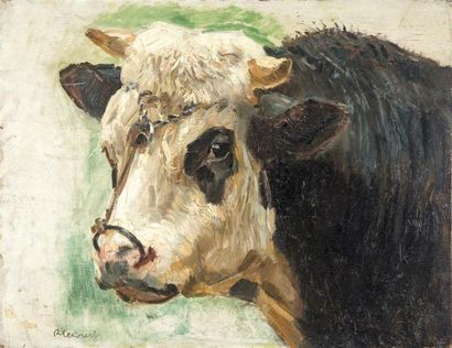 Raymond Louis LECOURT (1882-1946) Raymond Louis LECOURT (1882-1946)

Tête de vache

Huile...