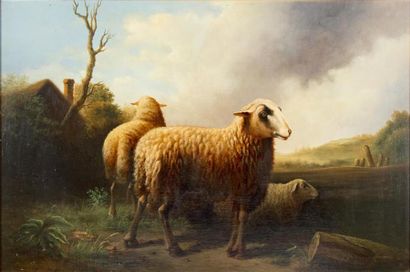 Arthur DE WAERHERT (1881-1944) Arthur DE WAERHERT (1881-1944)

Les moutons

Huile...