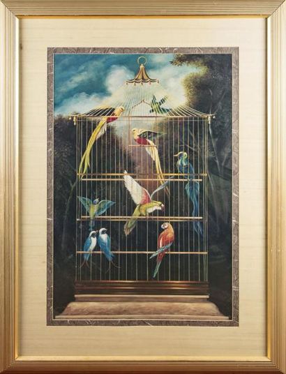 Les Perroquets en cage Affiche dans un cadre...